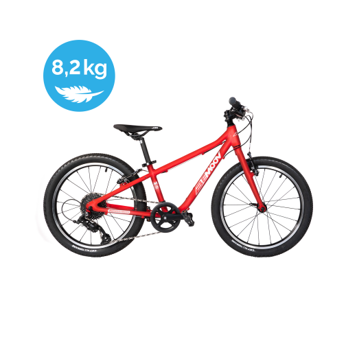 BEMOOV M20 : kinderfiets 20 inch