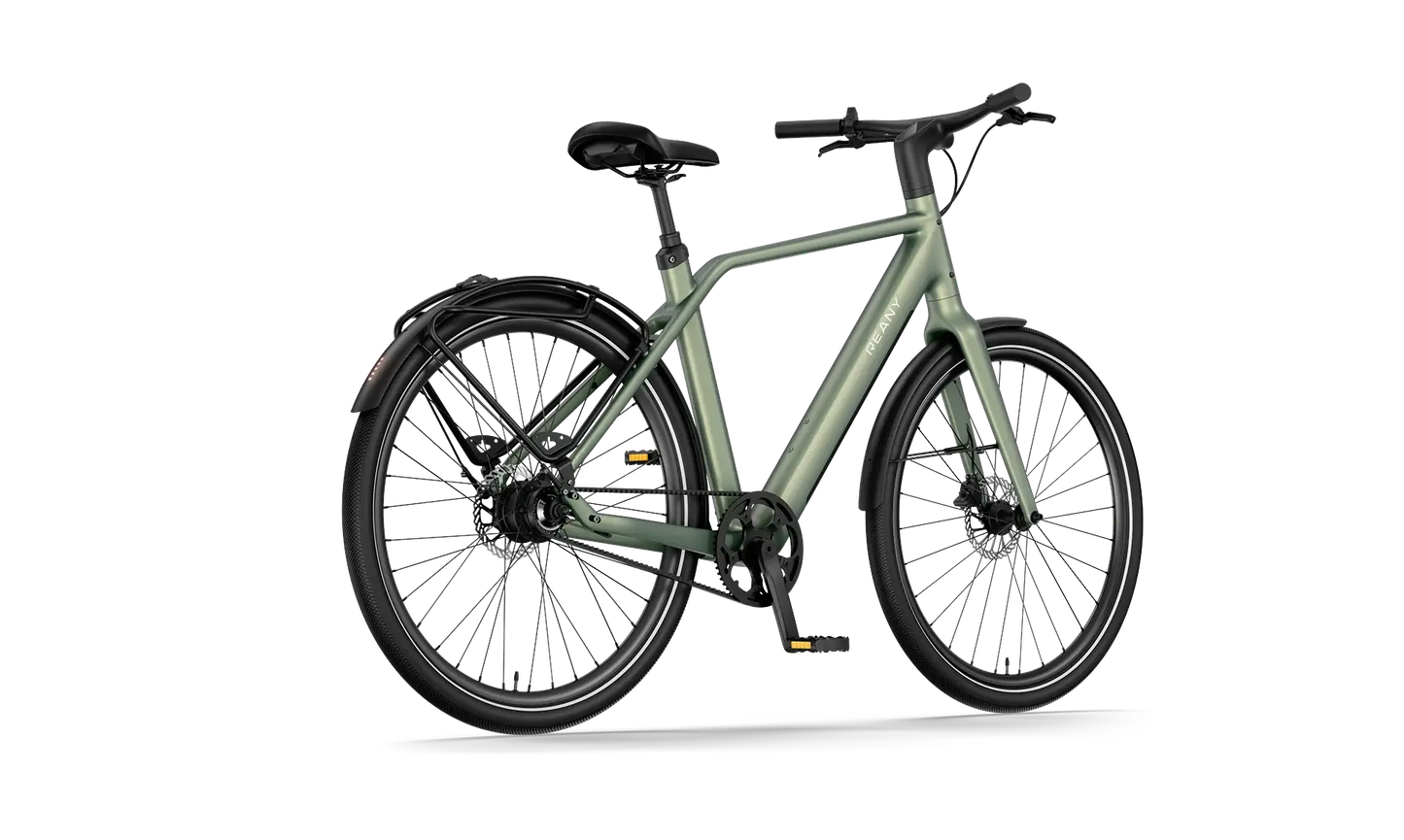 Ready for adventure N1 GT fiets in een moderne groene kleur, ideaal voor avontuurlijke ritten en stedelijke verkenning.