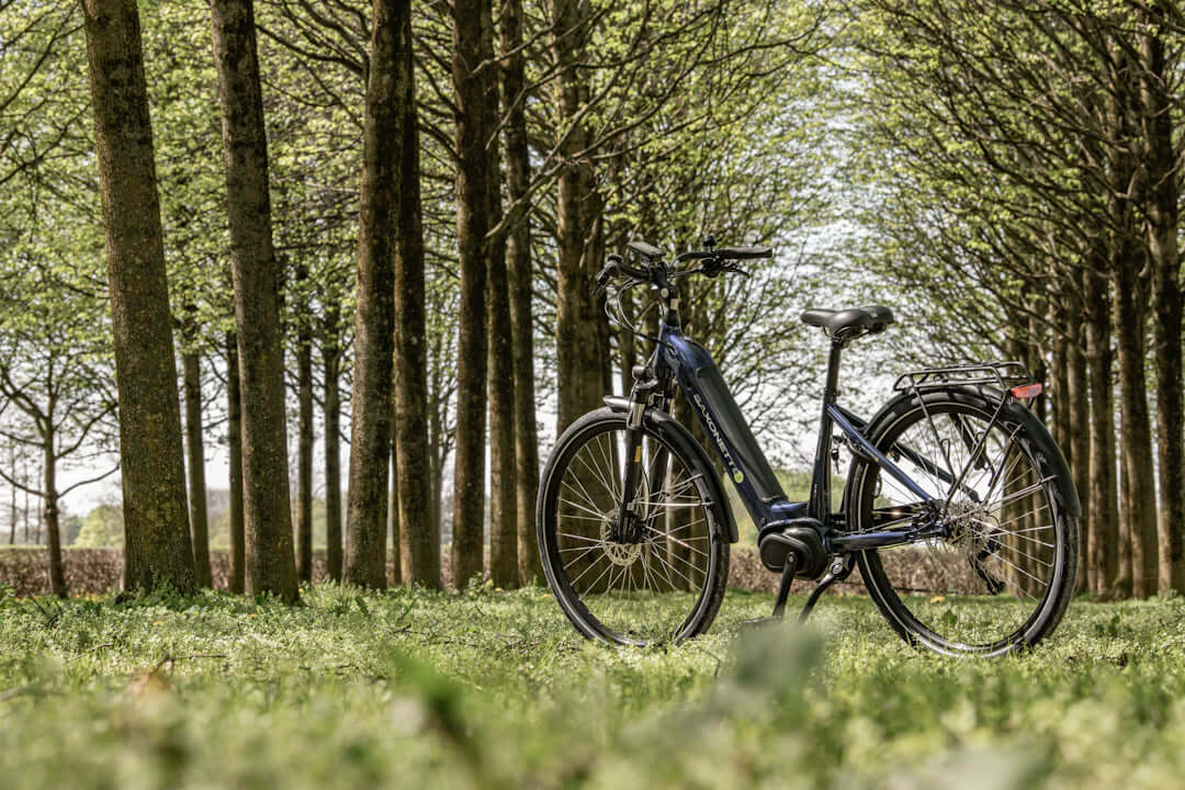 Ervaar Vrijheid met Elektrische Fietsen voor Hem en Haar