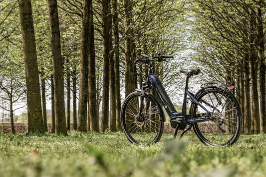 Ervaar Vrijheid met Elektrische Fietsen voor Hem en Haar