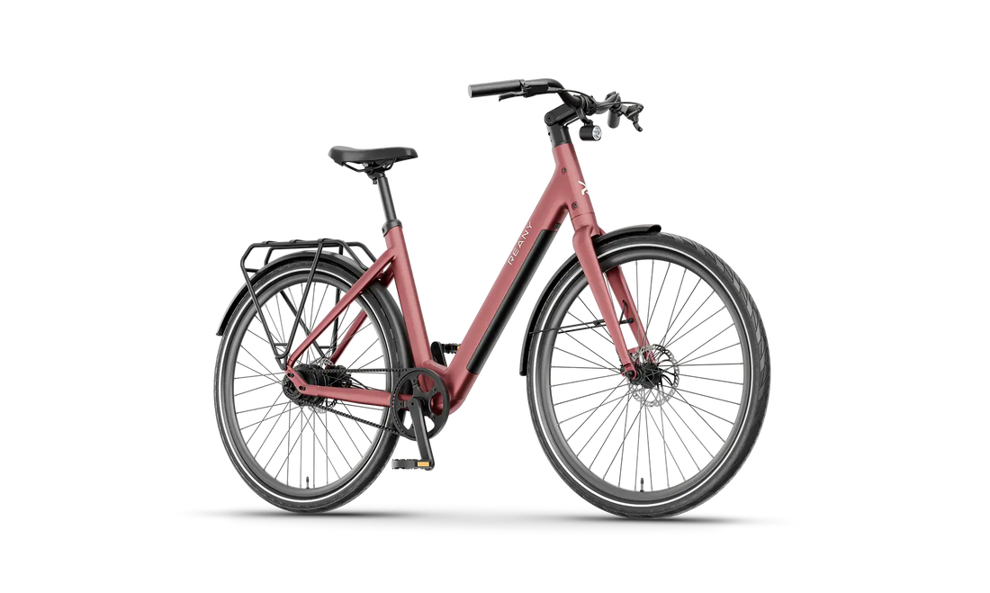 V1 Vivo+ Elektrische Fiets . De V1 Vivo