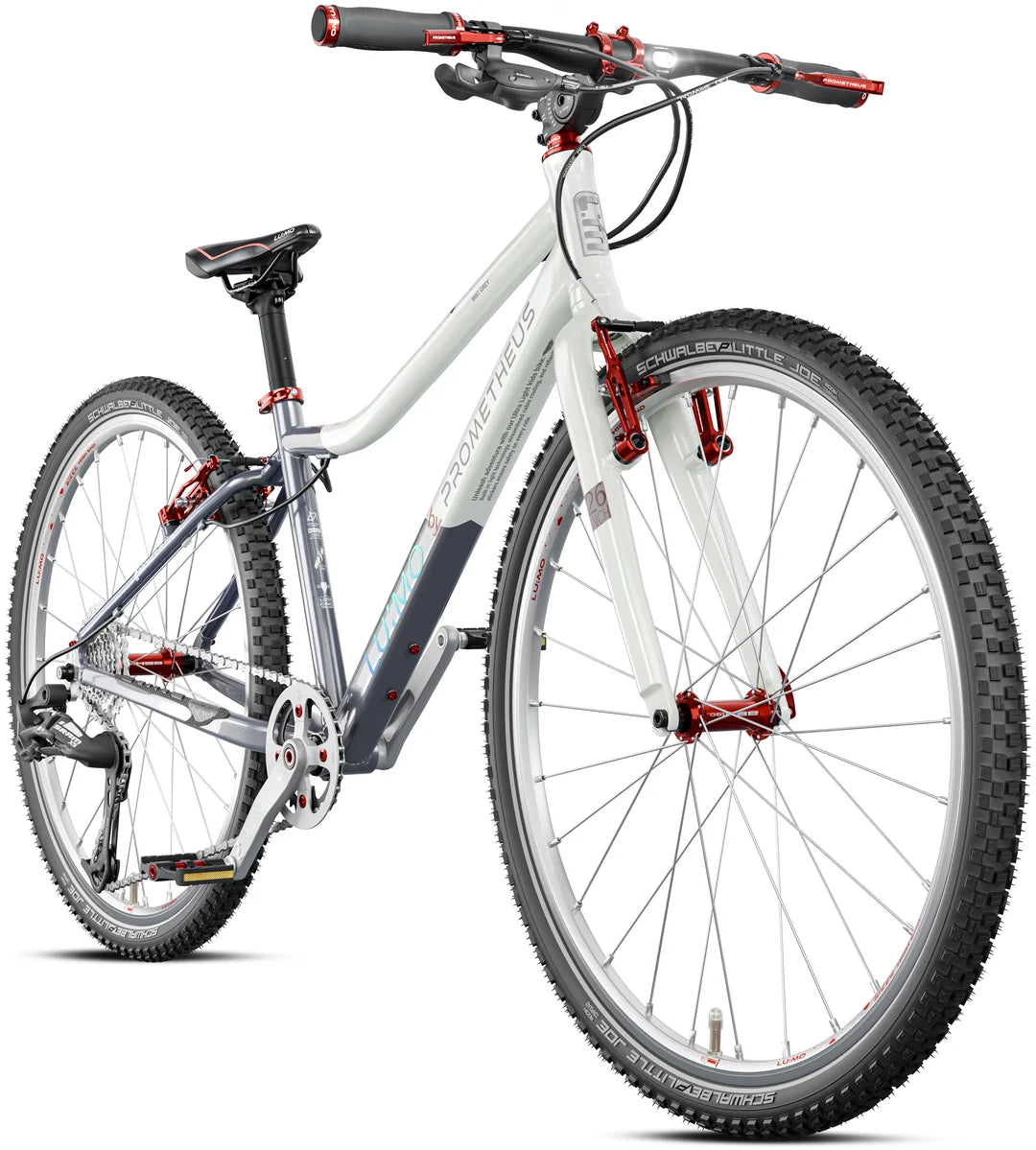 LU:MO Kinderfiets 26 inch vanaf 10 jaar. Kleur mistgrijs
