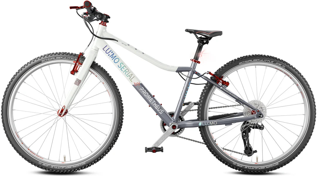LU:MO Kinderfiets 26 inch vanaf 10 jaar. Kleur mistgrijs