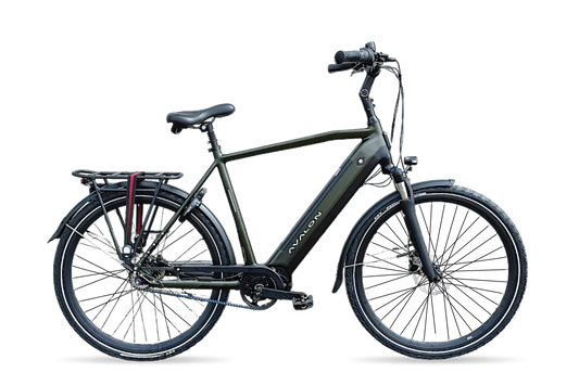 Avalon E-Pro  Mosgroen mat