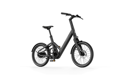 Reany C1 elektrische fiets in zwart met een sportief en modern design, ideaal voor stadse ritten.