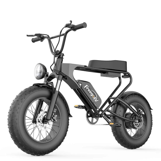 DK200 elektrische fiets 1200W motor 20Ah batterij met 20
