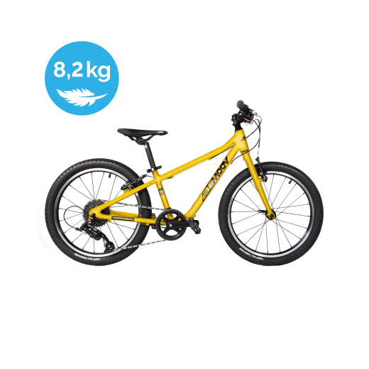 BEMOOV M20 : kinderfiets 20 inch