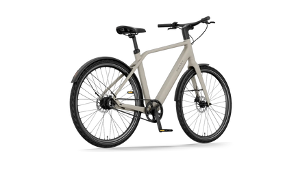 Lichter matters N1 PRO elektrische fiets met moderne ontwerpelementen en stevige banden