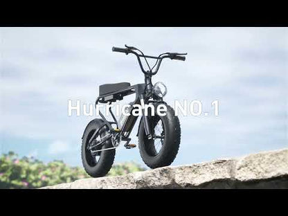 DK200 elektrische fiets 1200W motor 20Ah batterij met 20