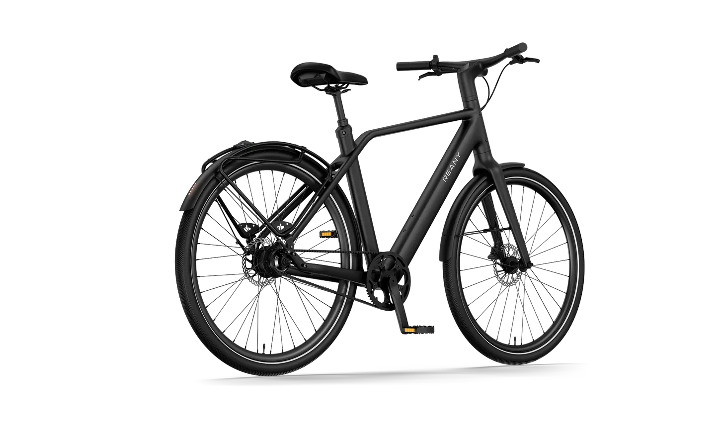 Ready for adventure N1 GT, een stijlvolle zwarte fiets met een modern ontwerp en robuuste wielen.