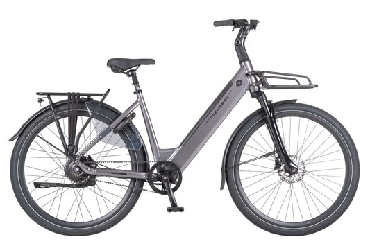 Trenergy Endurance Pro E-Bike Amsterdam met een modern ontwerp en comfortabele zithouding, geschikt voor langzame ritten.