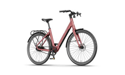 V1 Vivo+