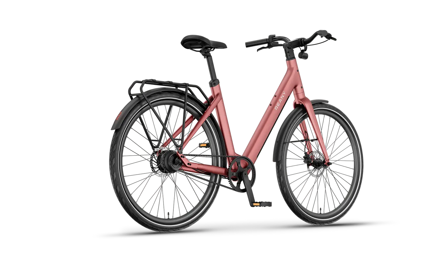 V1 Vivo+