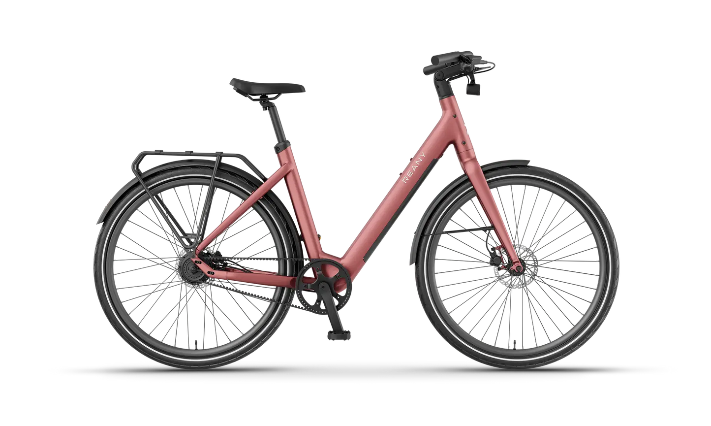 V1 Vivo+